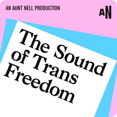 The Sound of Trans Freedom on trans flag colours