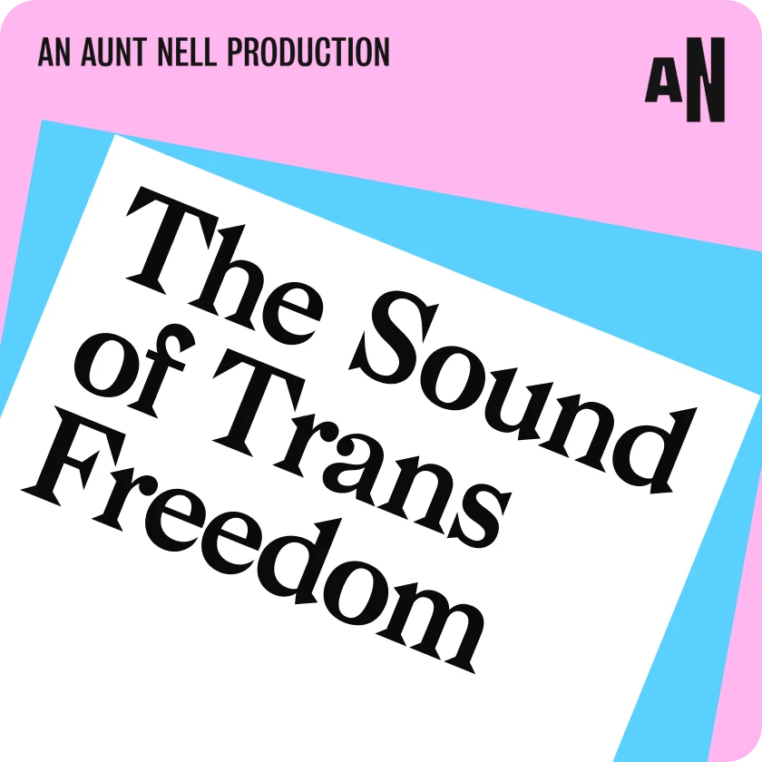 The Sound of Trans Freedom on trans flag colours